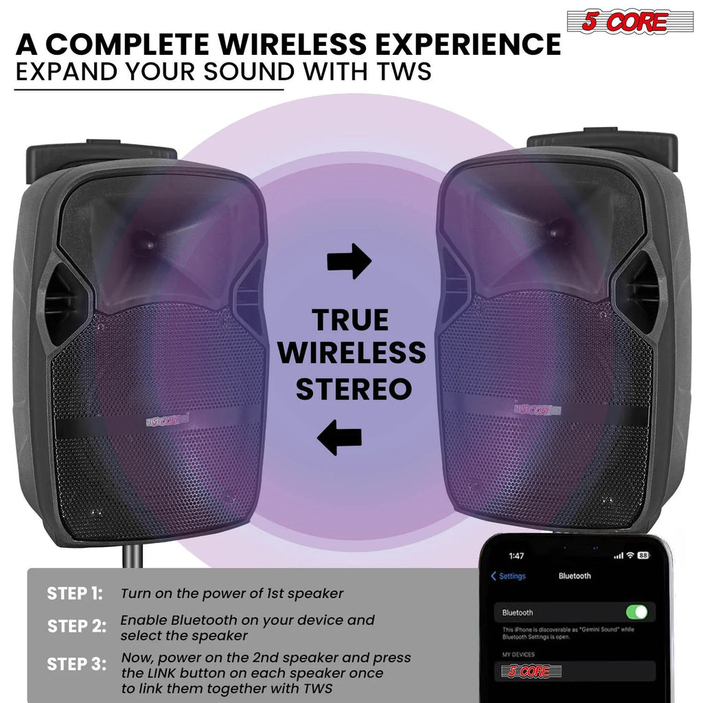 5Core 8 Inch PA Portable Bluetooth Party Speaker Karaoke Boombox + 2