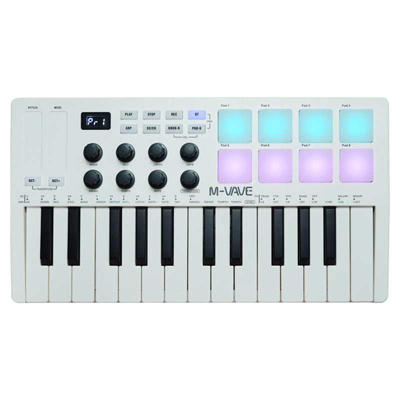 SMK-25 MIDI Arranger Keyboard RGB Pad Keyboard eprolo
