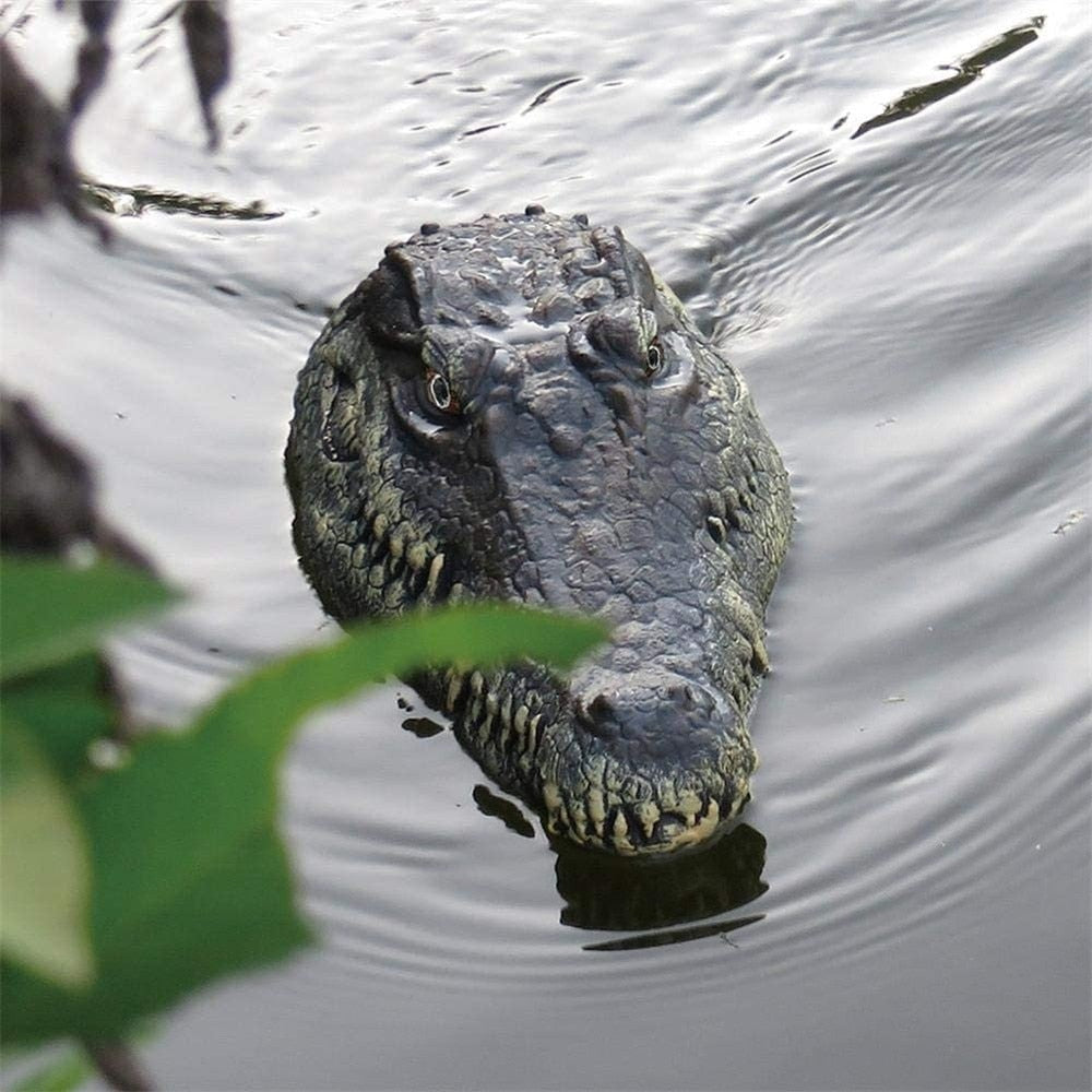 RC toy alligator remote control toys alligator Crocodile head crocodilian robot simulation animal scary Toys eprolo