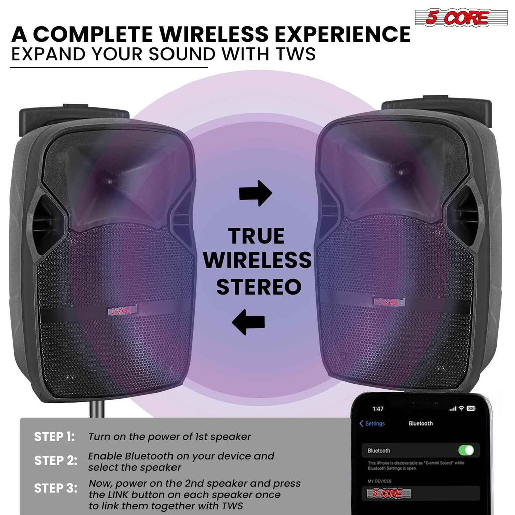5Core 10 inch PA Portable Bluetooth Party Speaker Karaoke Boombox + 2